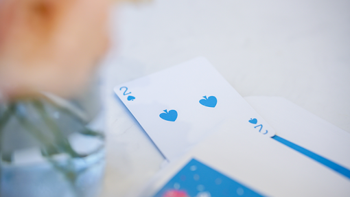 Glace Playing Cards by Bacon Playing Card Company - immagine 6