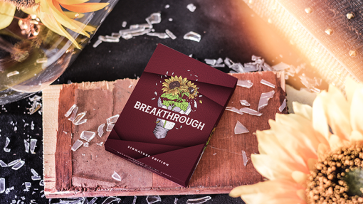 Breakthrough Signature Edition Playing Cards by Emily Sleights - immagine 2