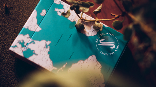 Sky Island Playing Cards by Svngali Design Co - immagine 2