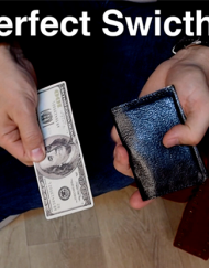 Perfect Switch Wallet by Victor Voitko (Gimmick and Online Instructions)