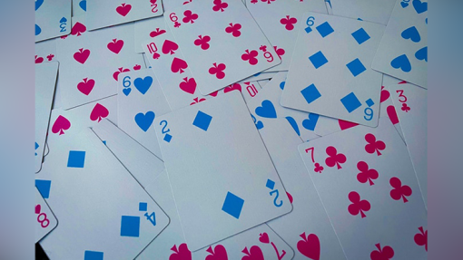 In Session (Sophomore Year) Playing Cards - immagine 6