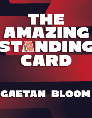 Amazing Standing Card by Gaetan Bloom