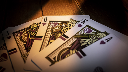 Skelstrument Playing Cards Printed by US Playing Card - immagine 4