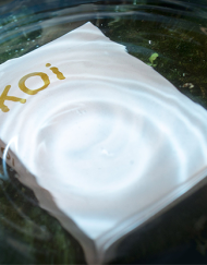 Koi V2 Playing Cards by Byron Leung