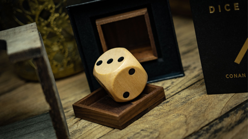 DICE VISION - immagine 6