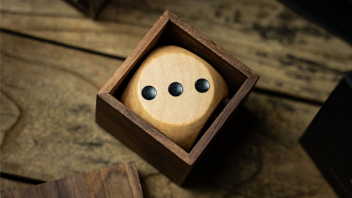 DICE VISION - immagine 4