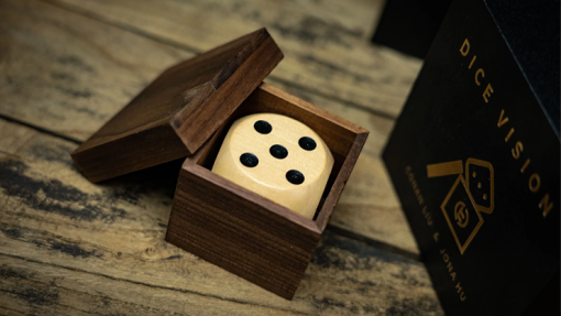 DICE VISION - immagine 5