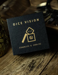 DICE VISION