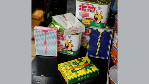 Fontaine: 5000's Blind Pack Playing Cards - immagine 3