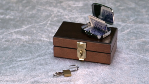 DESTINATION BOX (Gimmicks & Online Instructions) by Jon Allen - immagine 6