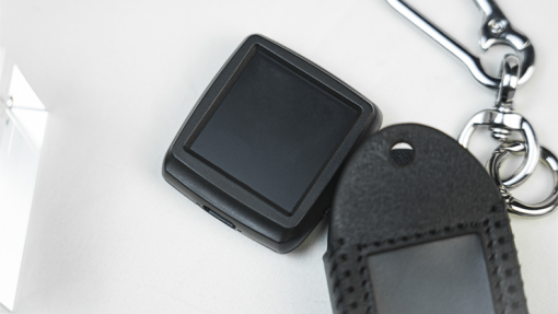 Palm Peeker Keychain Case by PITATA MAGIC - immagine 6
