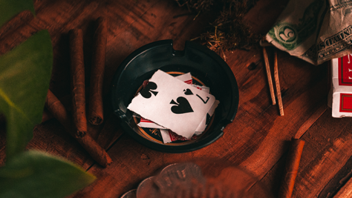 Switch Cup Ash Edition (Gimmicks and Online Instructions) by Jérôme Sauloup & Magic Dream - immagine 3