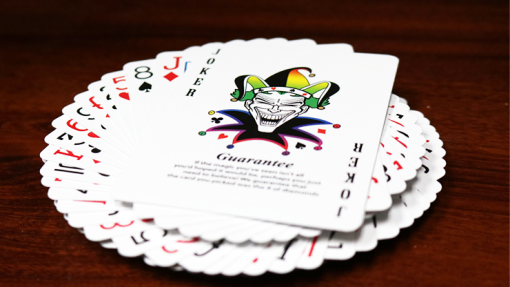 Spectrum Tally Ho Deck by US Playing Card Co. - immagine 2