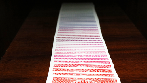Spectrum Tally Ho Deck by US Playing Card Co. - immagine 3