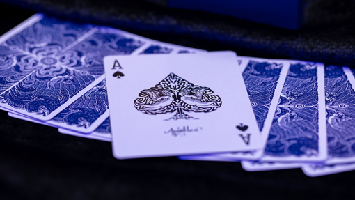 Apostles Playing Cards (Deck and Online Instructions) by Luke Jermay - immagine 4