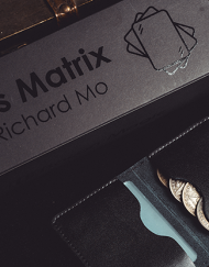 Transparent Matrix (Half Dollar) 2024 by Richard Mo