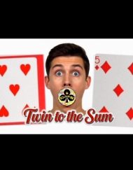 TWIN TO THE SUM by Laura Chips