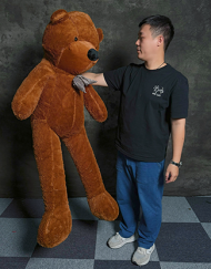 Teddy Bear Appearance (Medium) by MS Magic