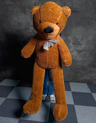 Teddy Bear Appearance (Large) by MS Magic
