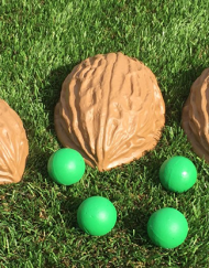 Professional Jumbo Shells by Chef Anton and Pop Haydn