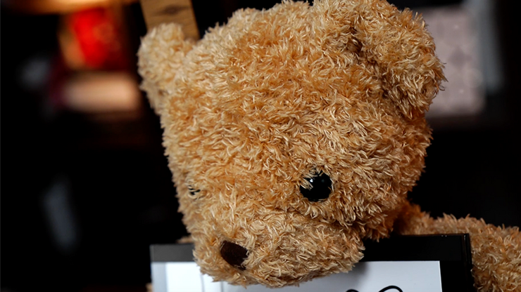 Teddy Unframed by Bond Lee & JC Magic - immagine 6